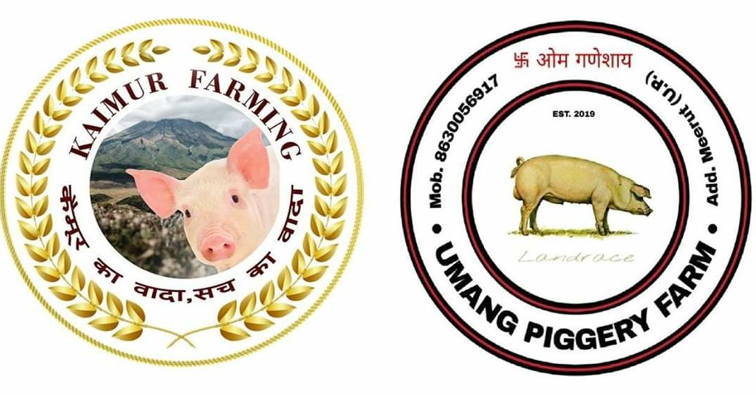 Kaimur Farming & Training Center   (Kaimur & Umang Piggery Group)